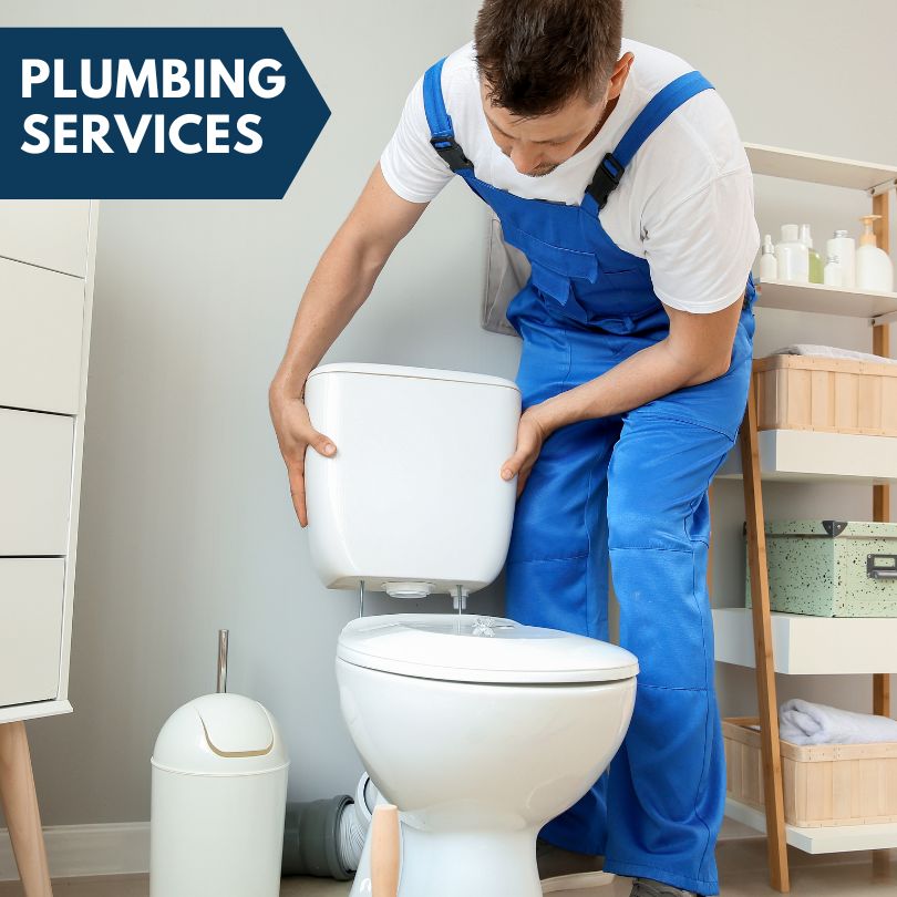 Plumbing Company in Thornfield, MO